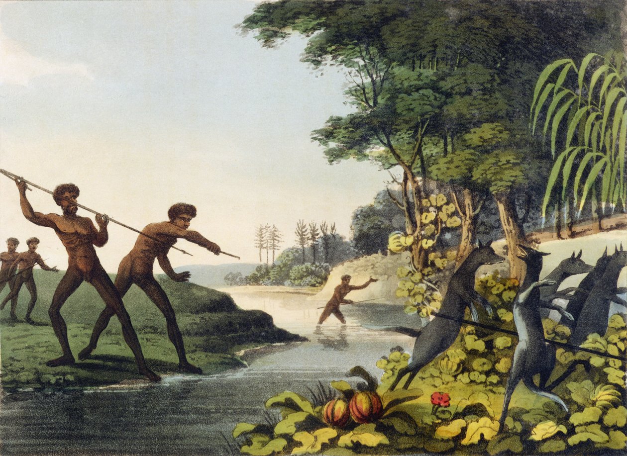 Chasse au kangourou, aborigènes en Nouvelle-Galles du Sud gravé par Matthew Dubourg (fl.1813-1820) 1813 - John Heaviside Clark