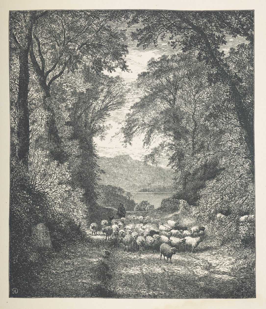 Moutons conduits par un berger, le long d