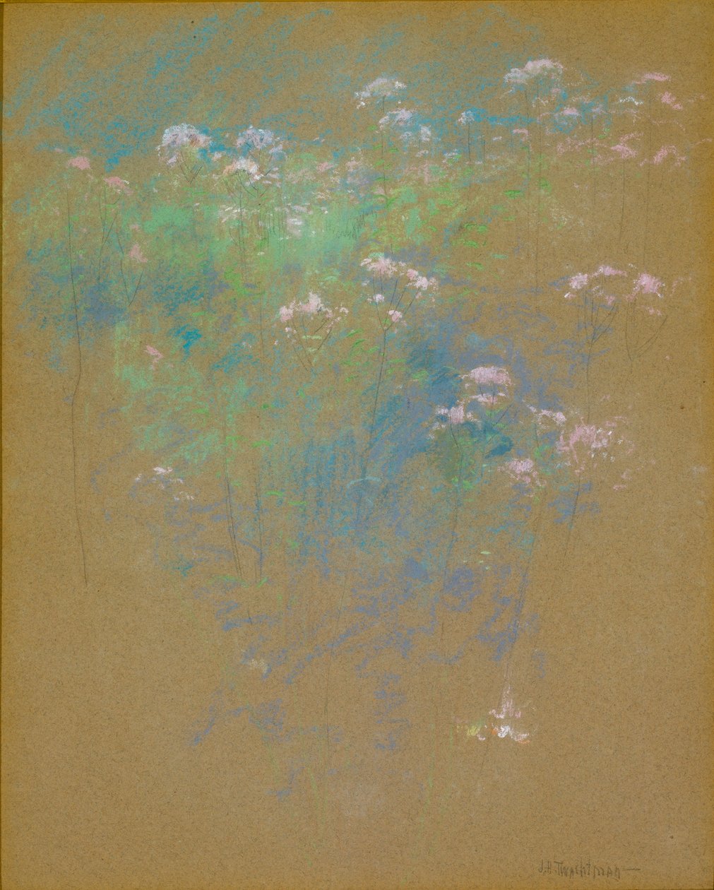 Fleurs - John Henry Twachtman