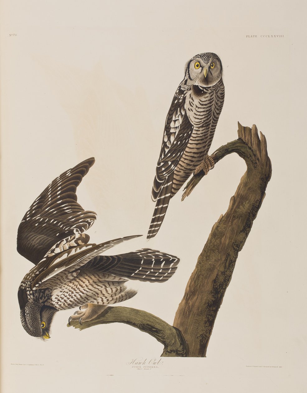 Illustration de 