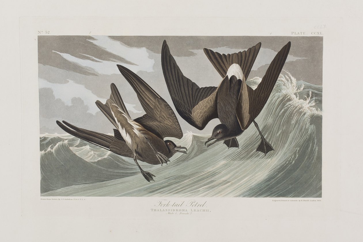 Illustration de 