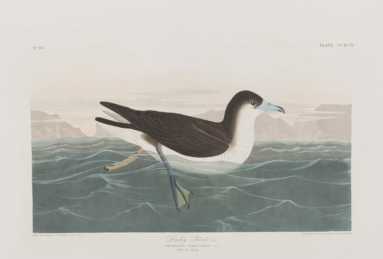 Illustration de 