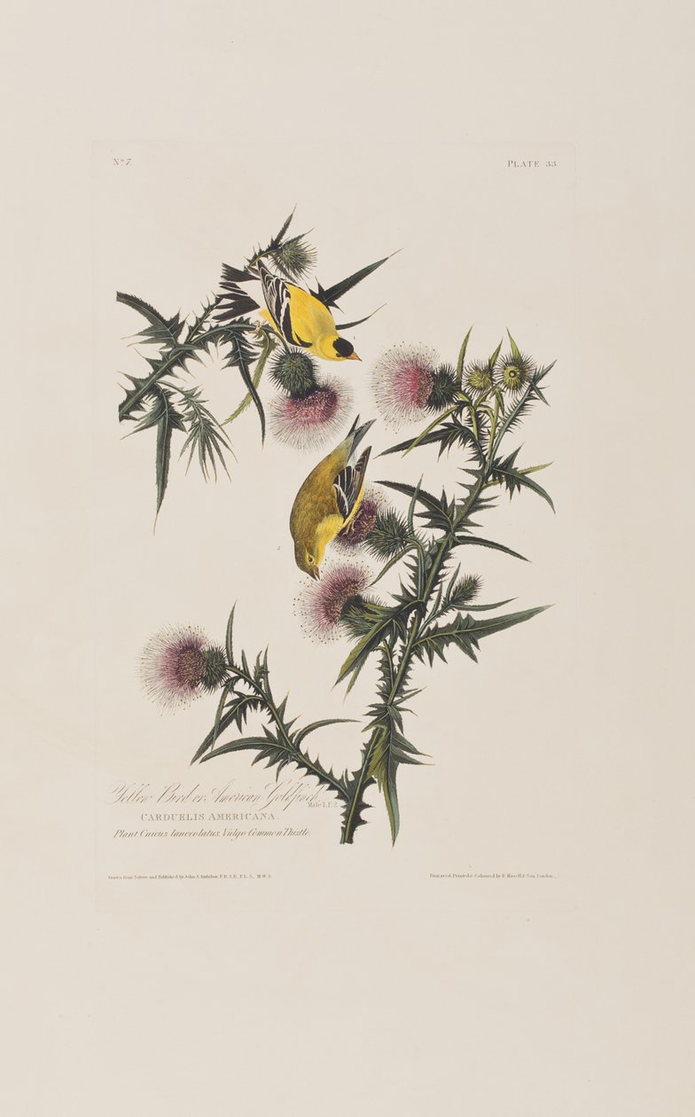 Illustration de 