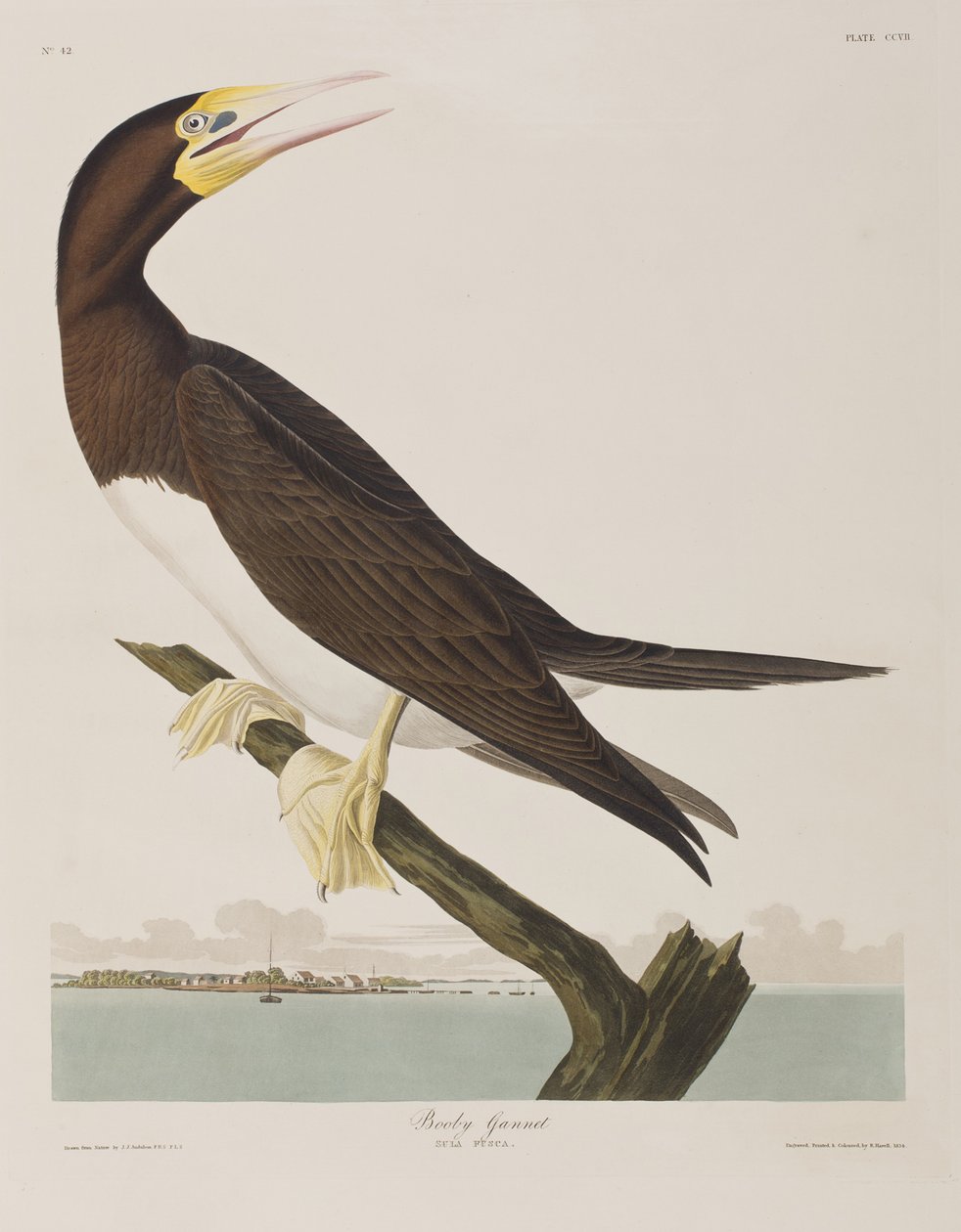 Illustration de 