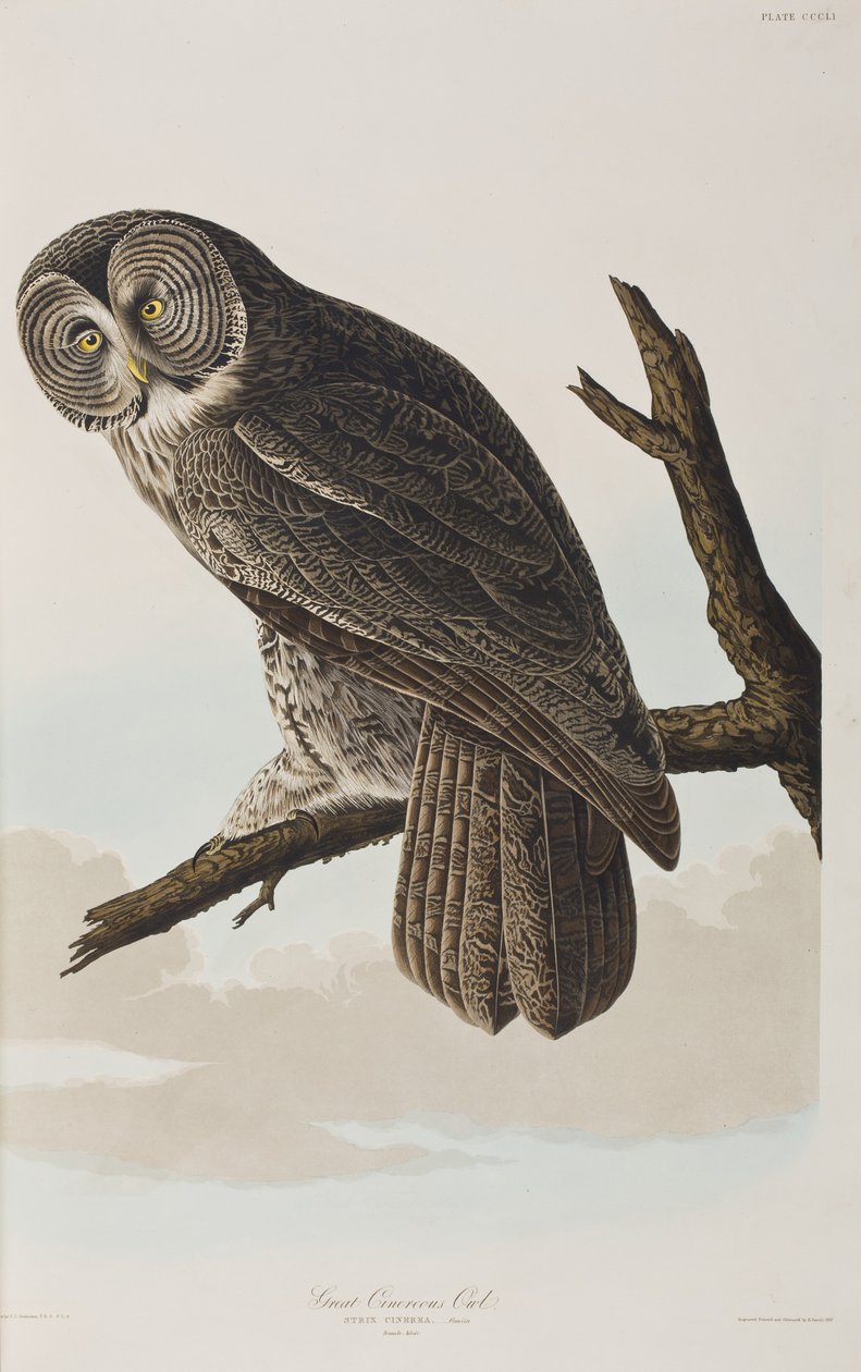 Illustration de 