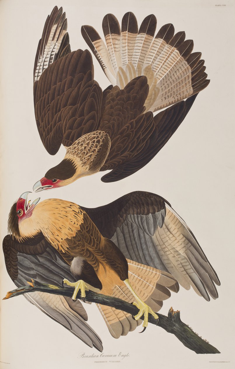 Illustration de 