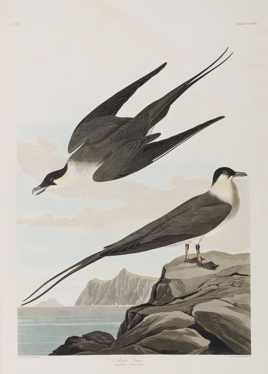 Illustration de 