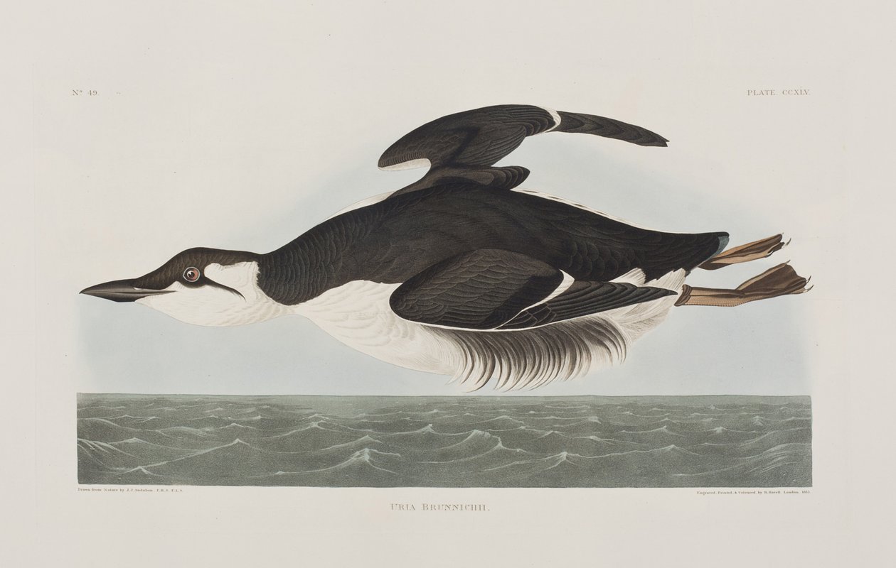 Illustration de 