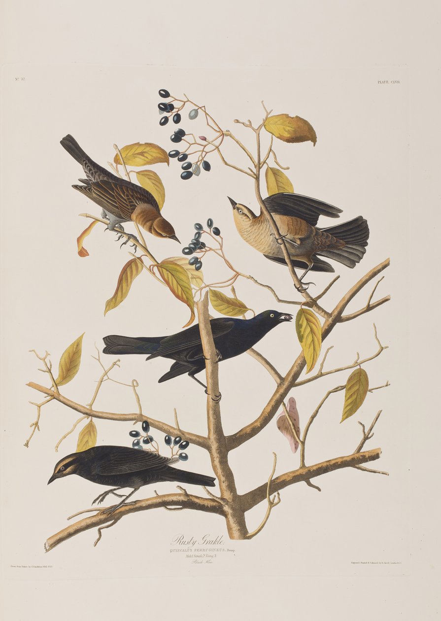 Illustration de 