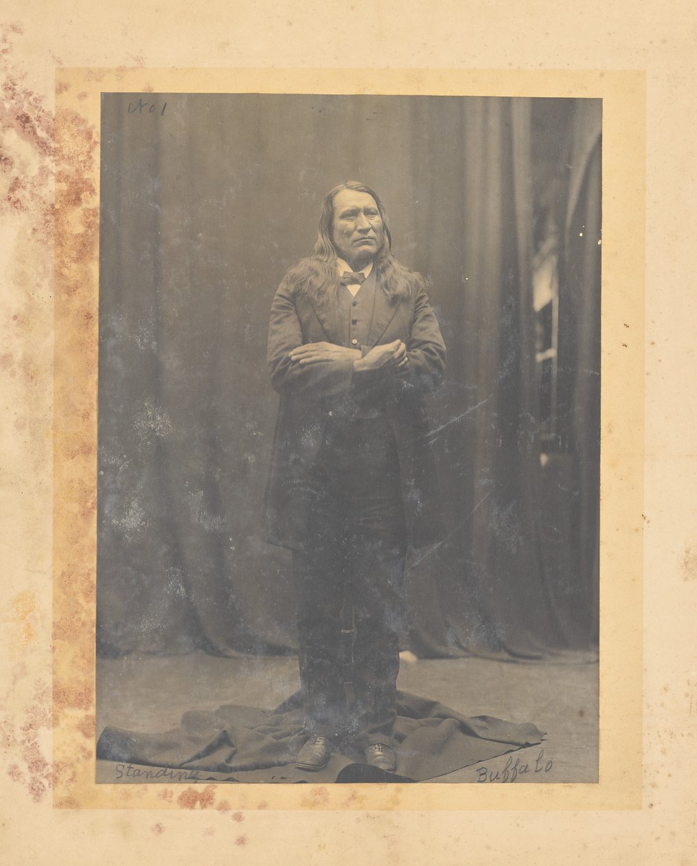 Stehender Büffel - John K. Hillers