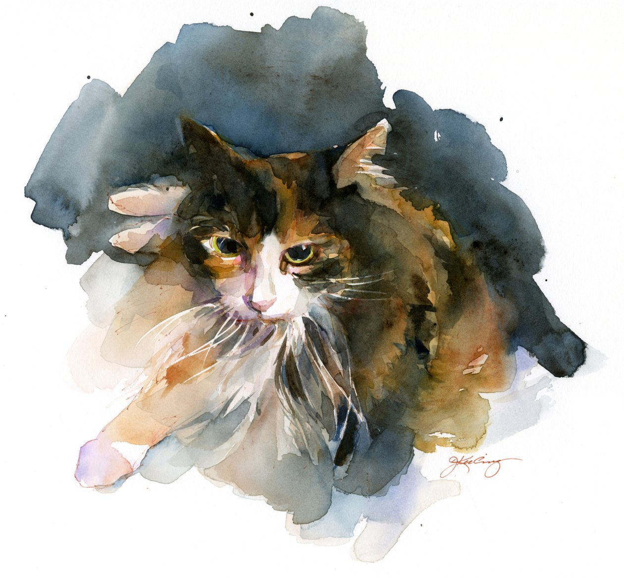 Chat calicot - John Keeling