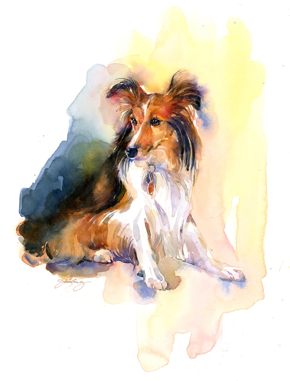 Portrait de Sheltie - John Keeling