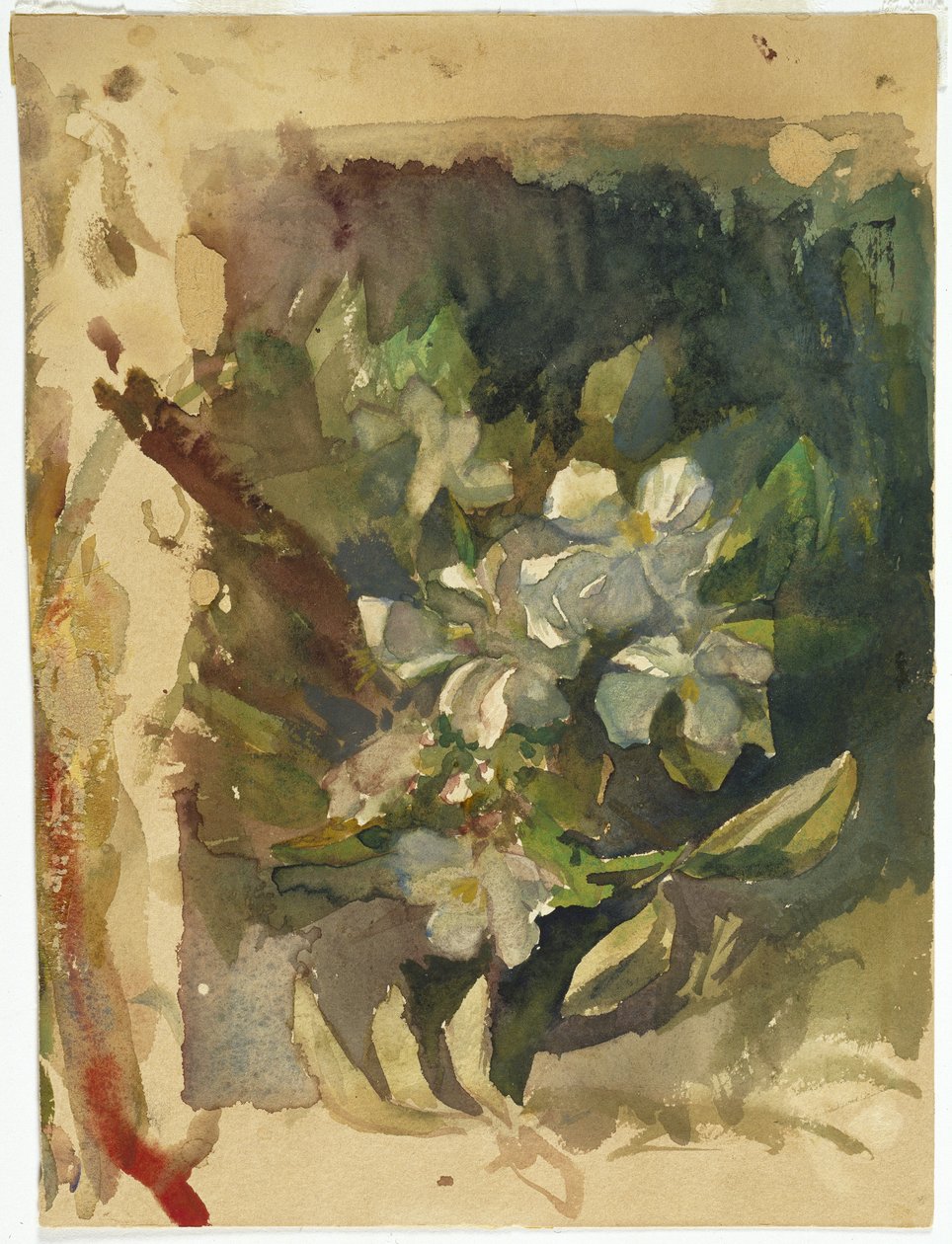 Fleurs de pommier au soleil - John La Farge or Lafarge