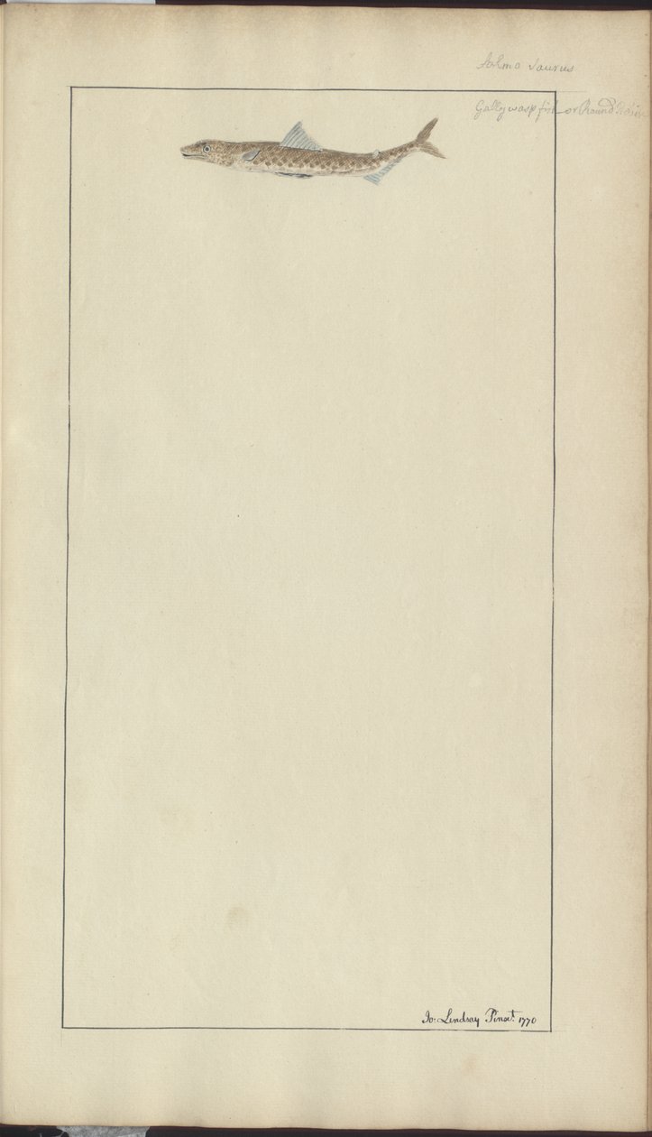 Dessins de Lindsay Vol. VII, 23 - John Lindsay