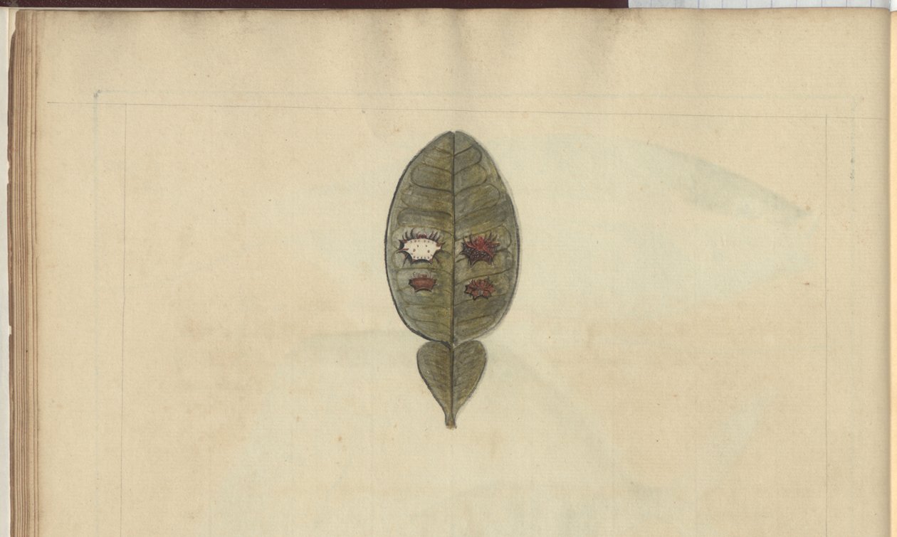 Dessins de Lindsay Vol. VII, 3 - John Lindsay