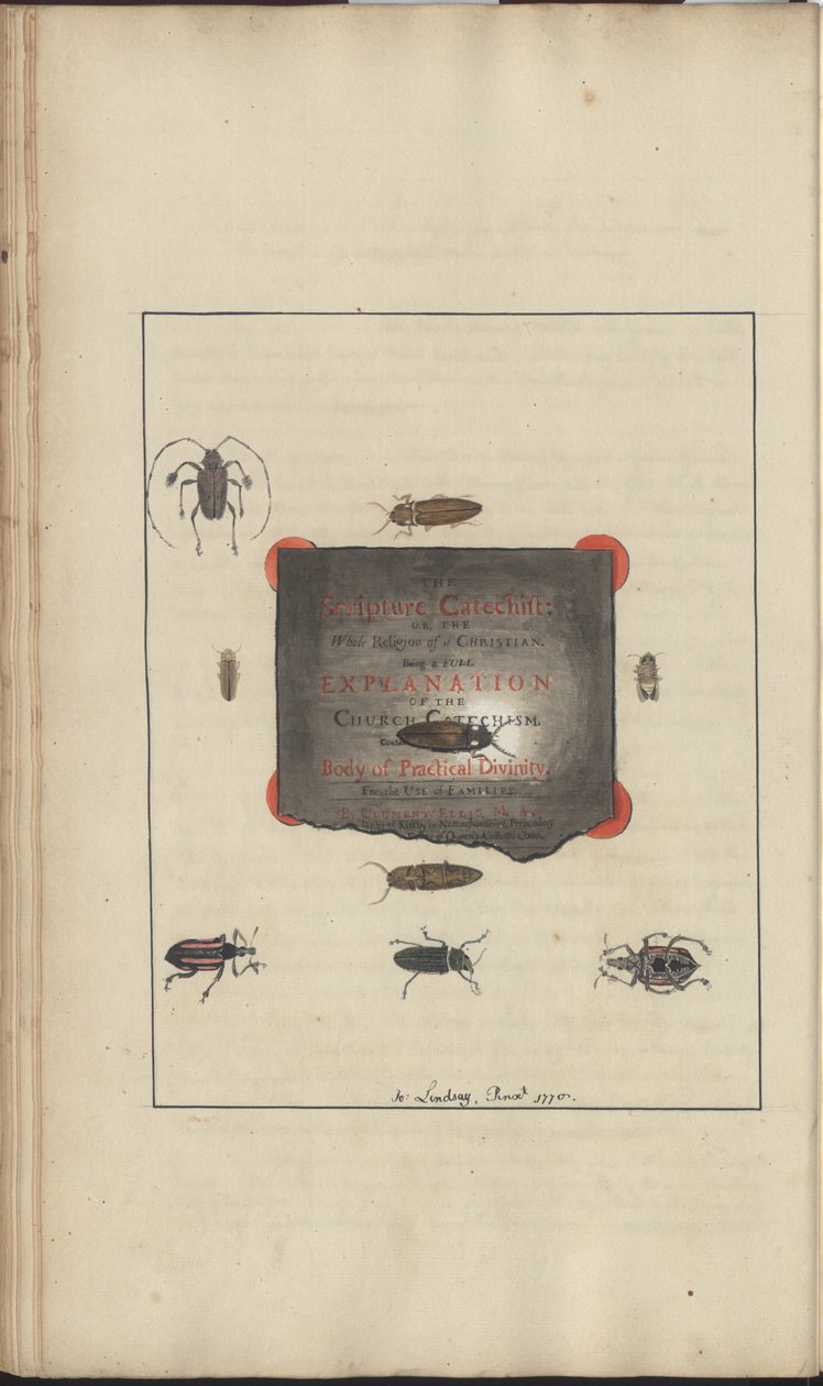 Dessins de Lindsay Vol. VI, 95 - John Lindsay