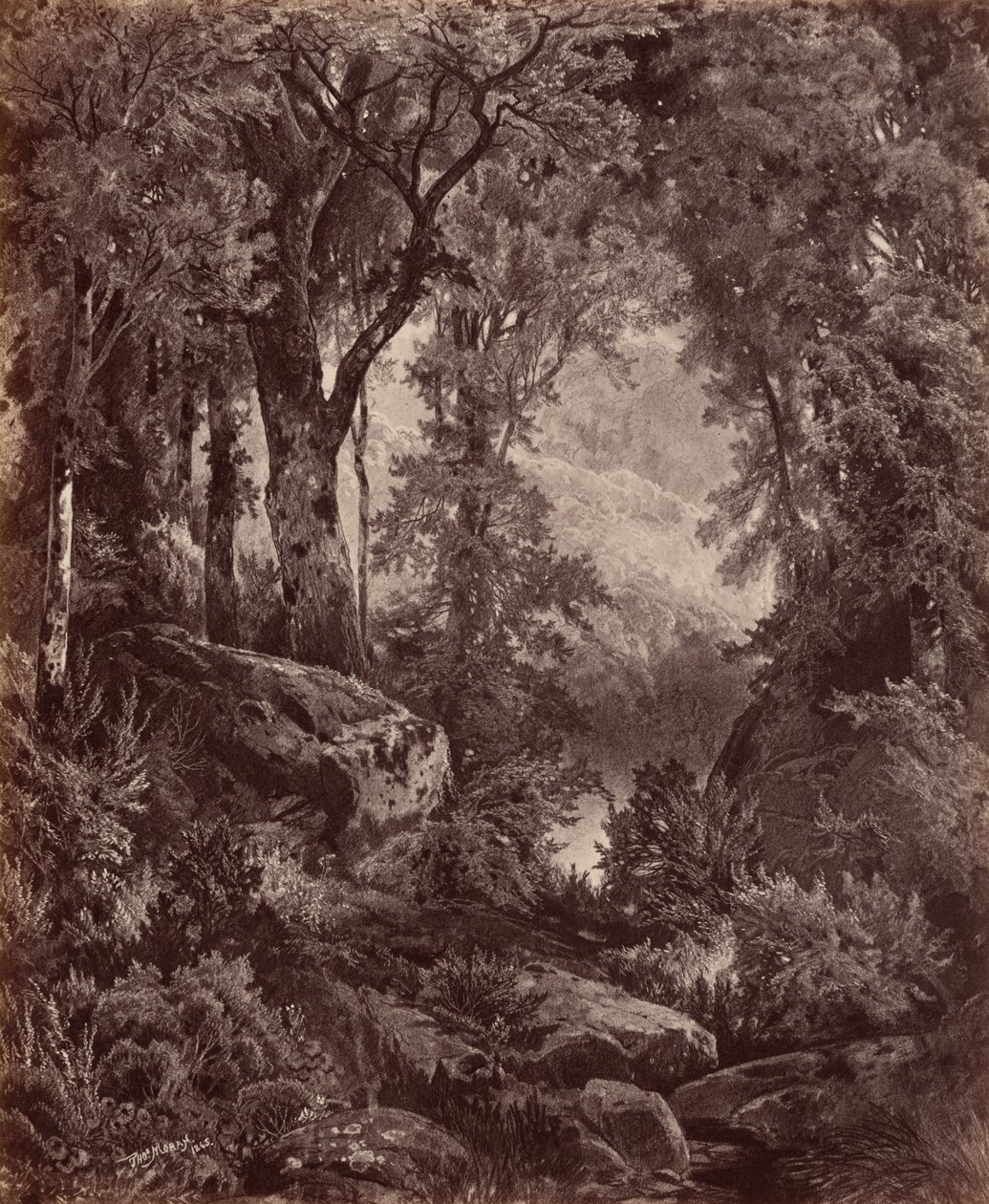 Solitude,1865 (photo) - John Moran