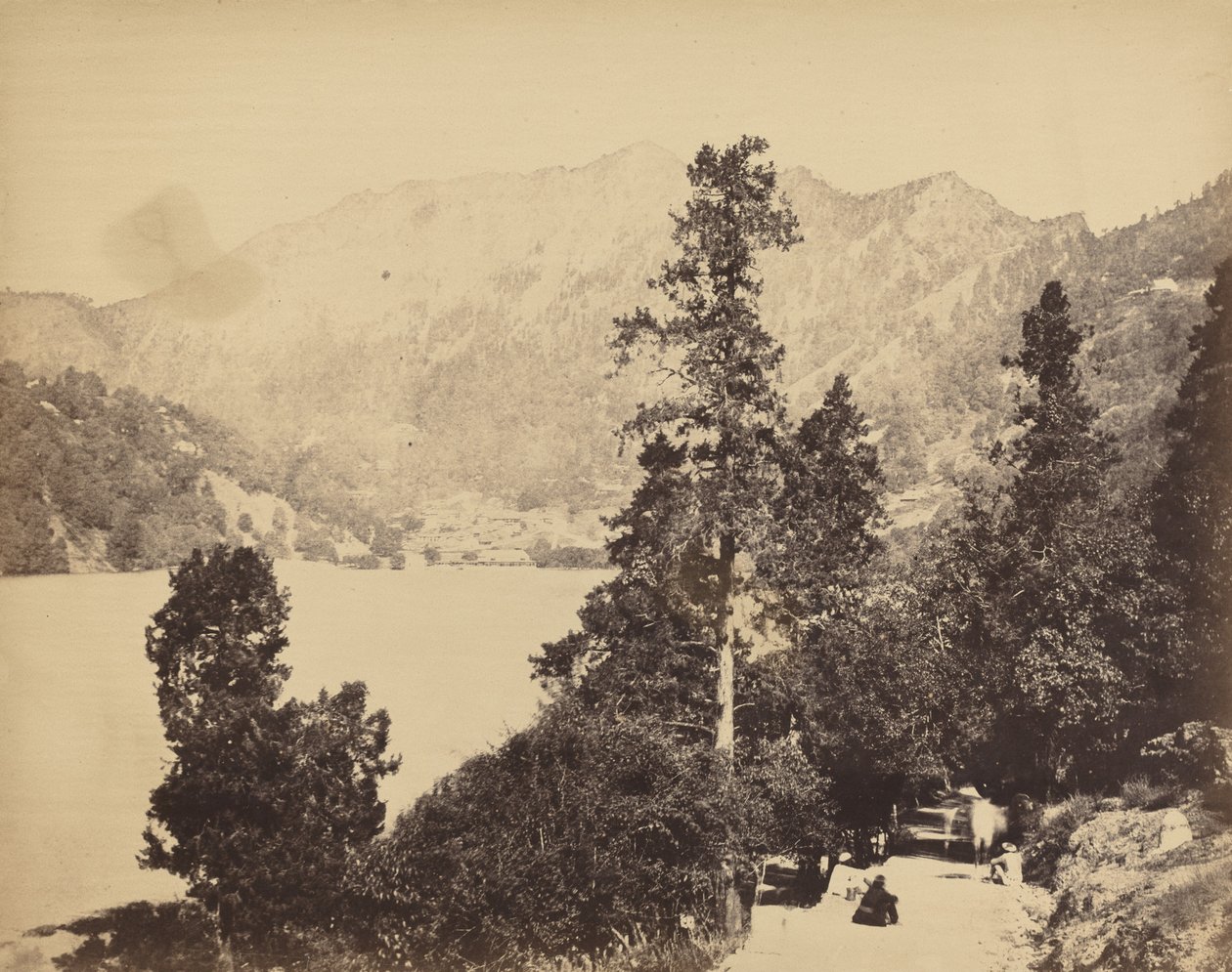 Nynee Tall depuis South End - John Murray