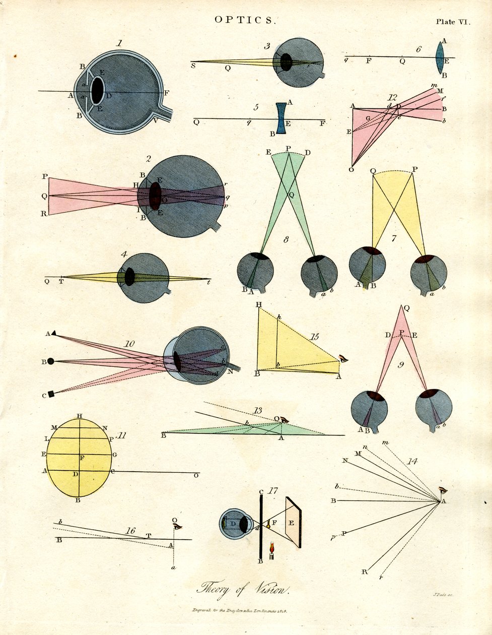 Optique : Théorie de la vision (Planche VI) - John Pass