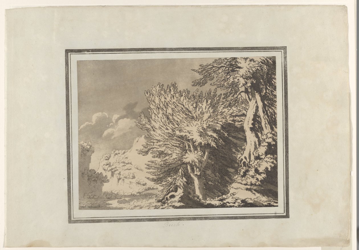 Hêtre - John Robert Cozens