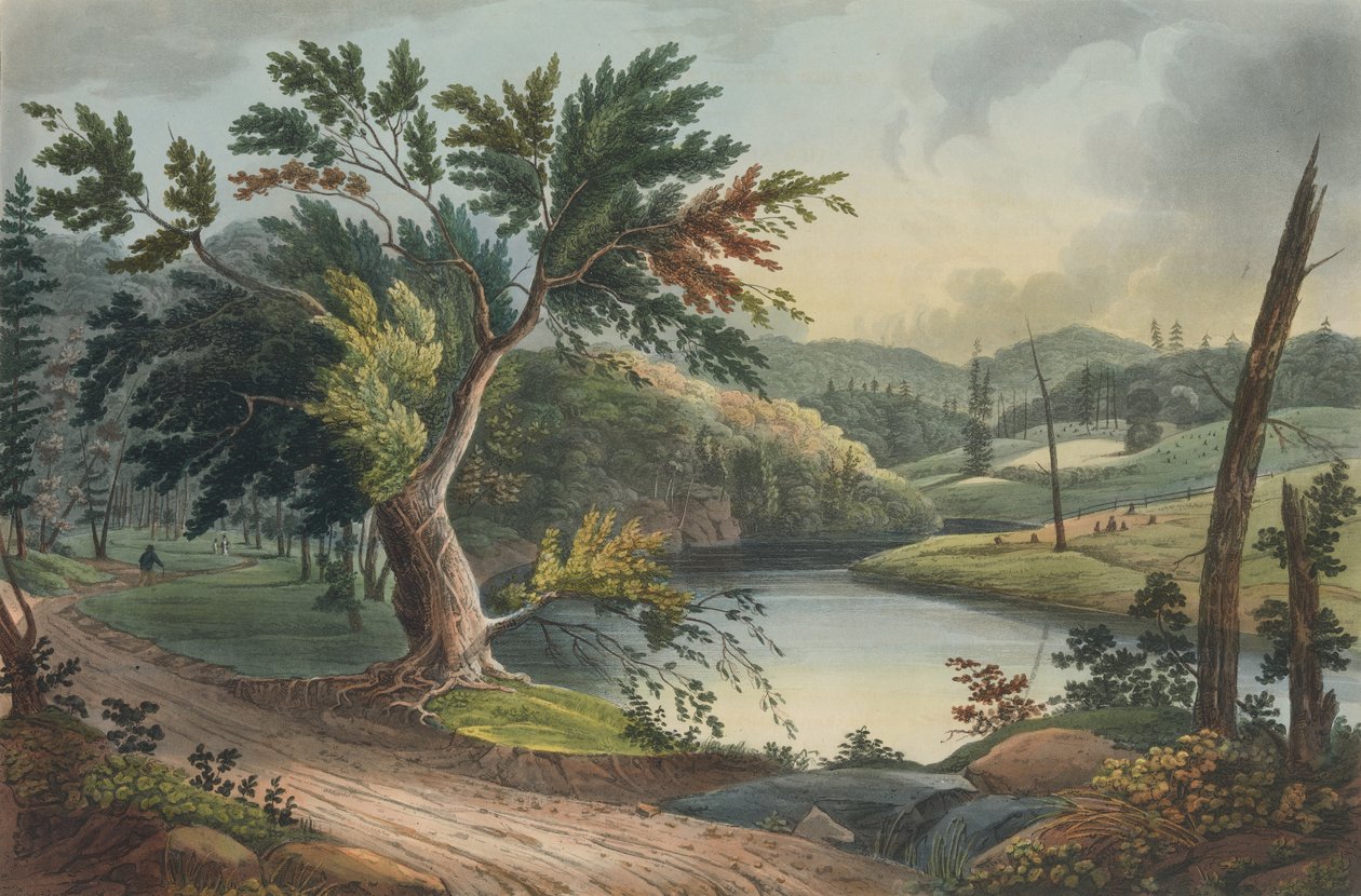 Vue près de Jessup