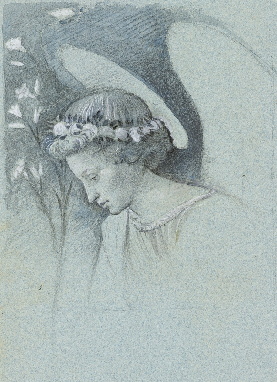 Étude de la tête de l