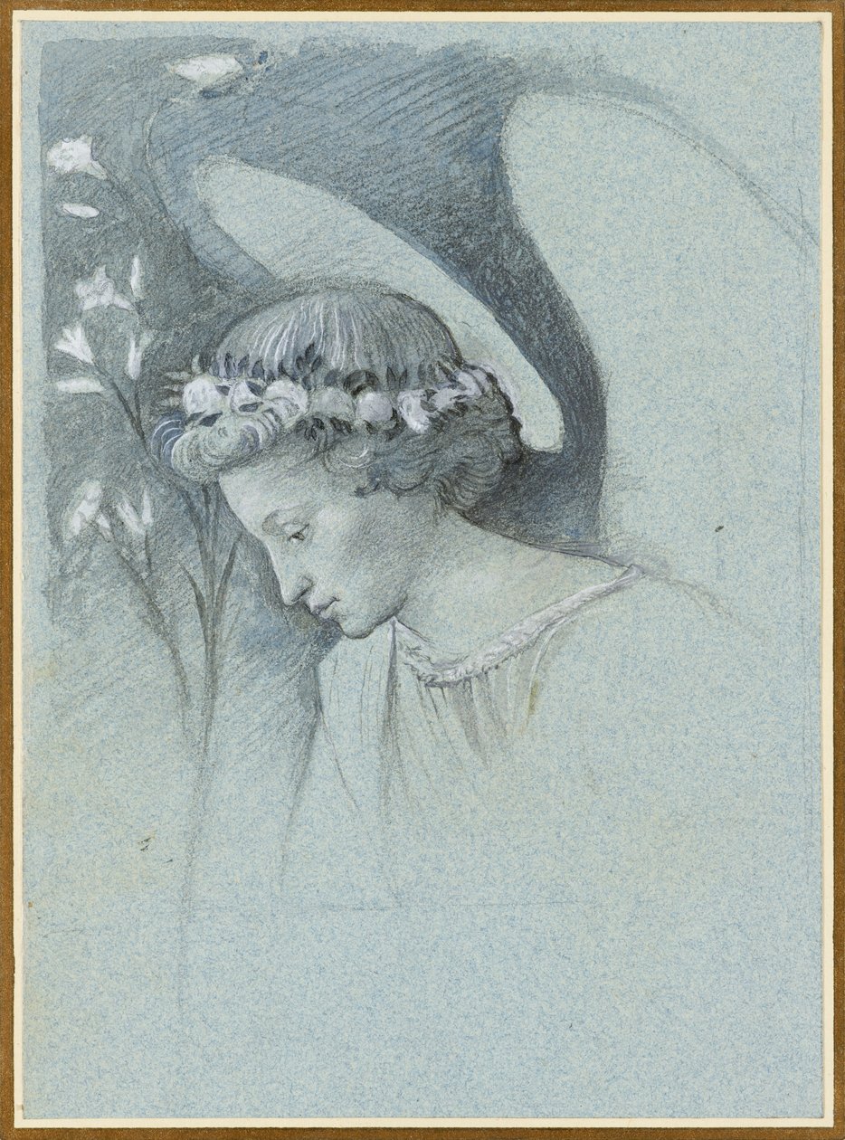 Étude de la tête de l
