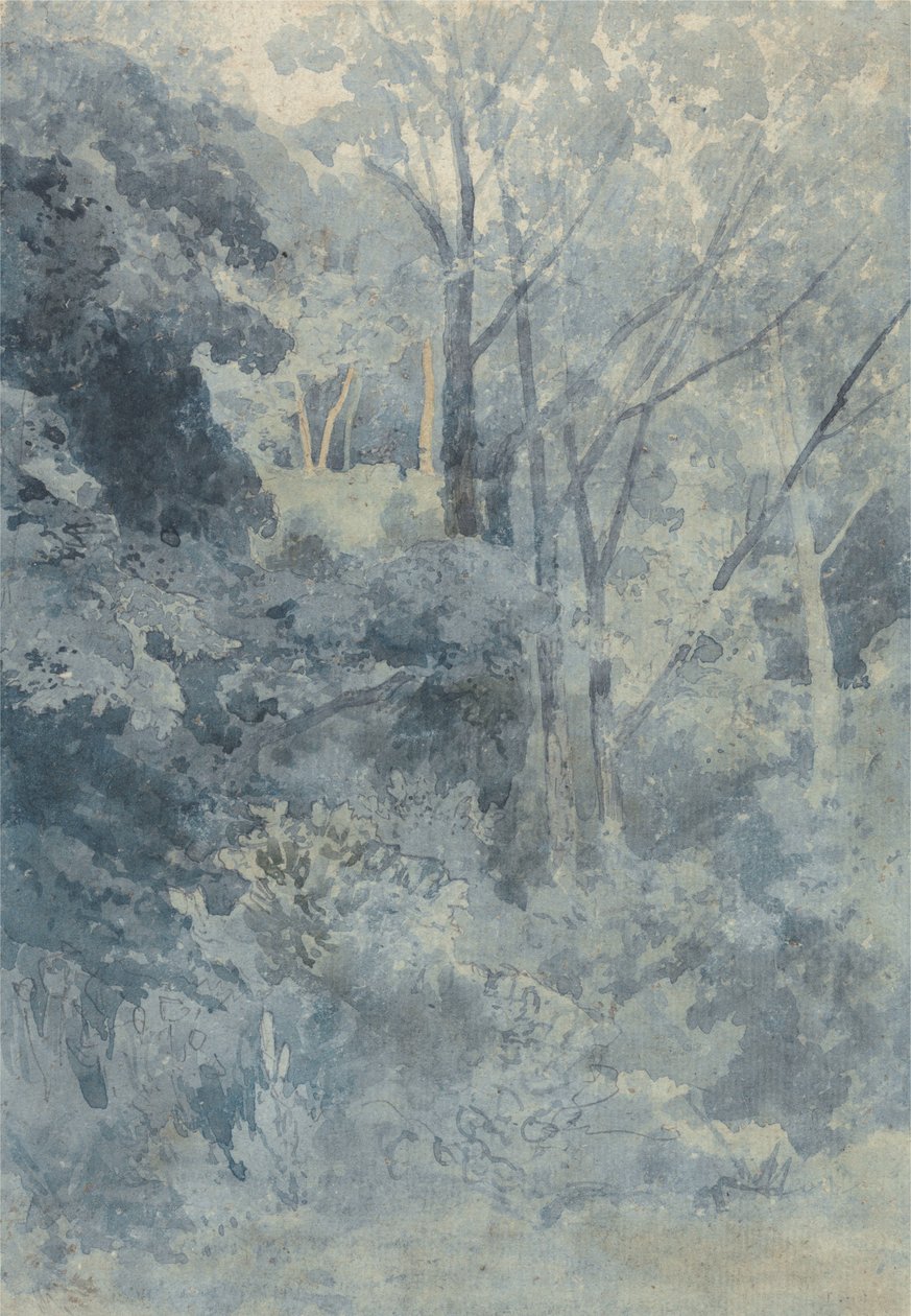 Dans le parc de Rokeby - John Sell Cotman