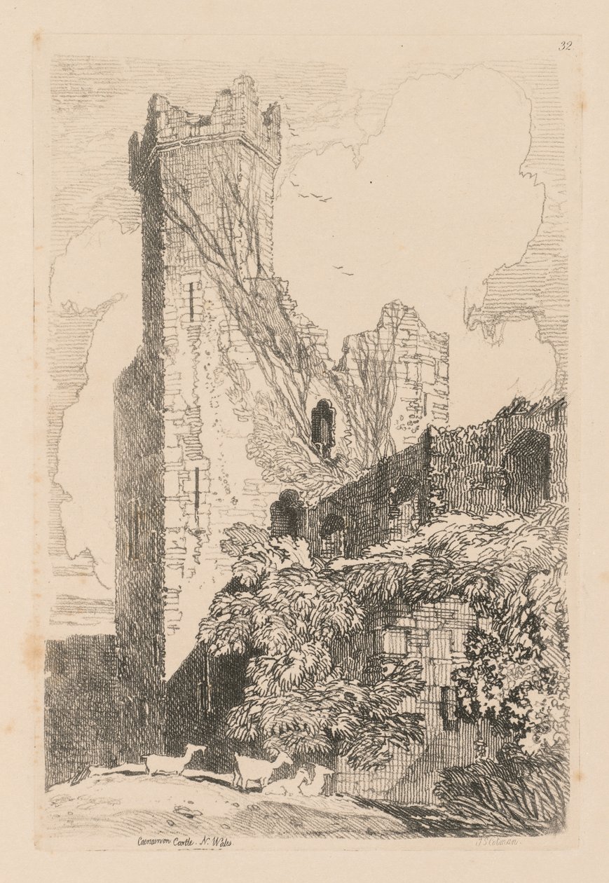 Liber Studiorum : Planche 32, Château de Caernarvon, N. Pays de Galles, 1838 - John Sell Cotman
