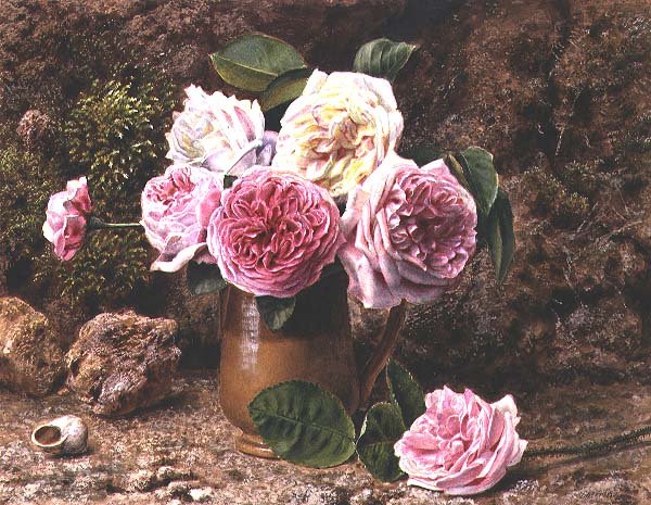 Roses - John Sherrin