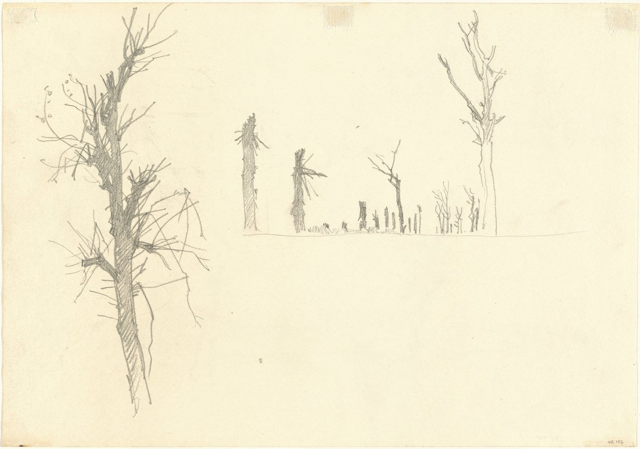 Arbres Dévastés (verso) - John Singer Sargent