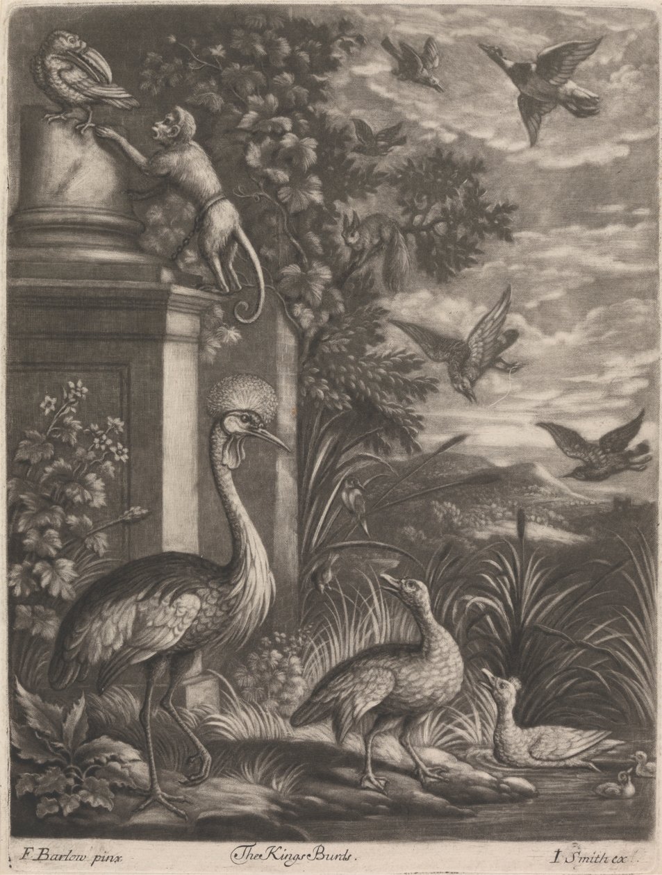 Les Oiseaux du Roi - John Smith