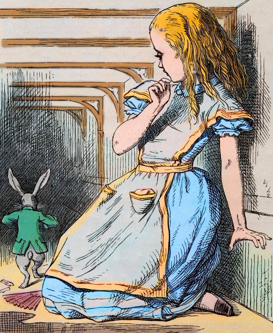 Alice et le Lapin Blanc. Illustration de John Tenniel de la première édition des « Aventures d