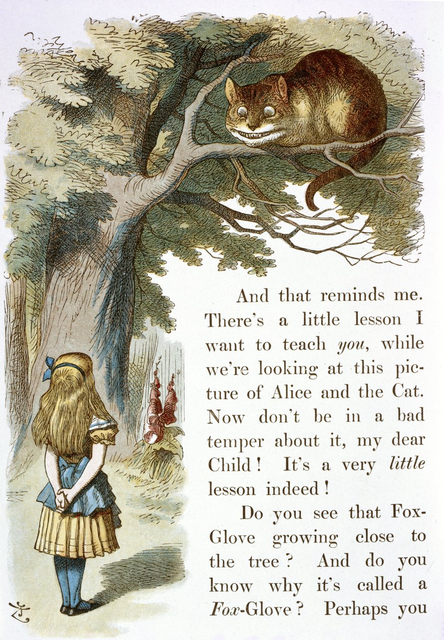 Le Chat du Cheshire - John Tenniel