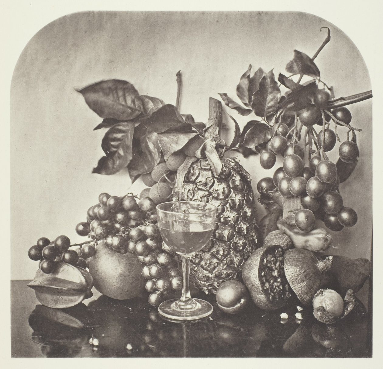 Fruit - John Thomson