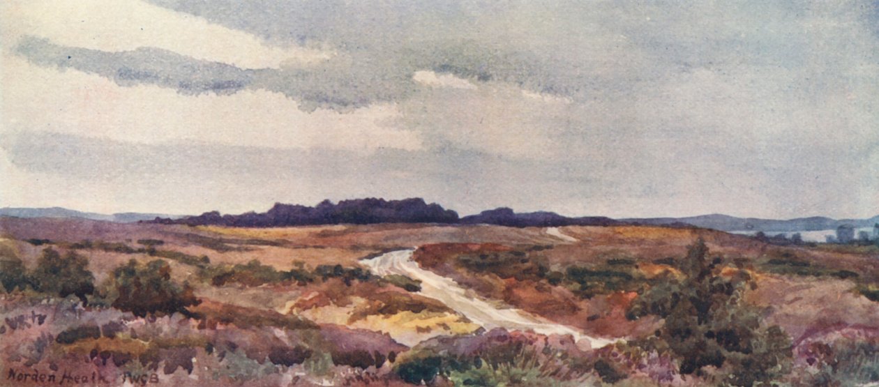 Norden Heath (lithographie couleur) - John W.G. Bond