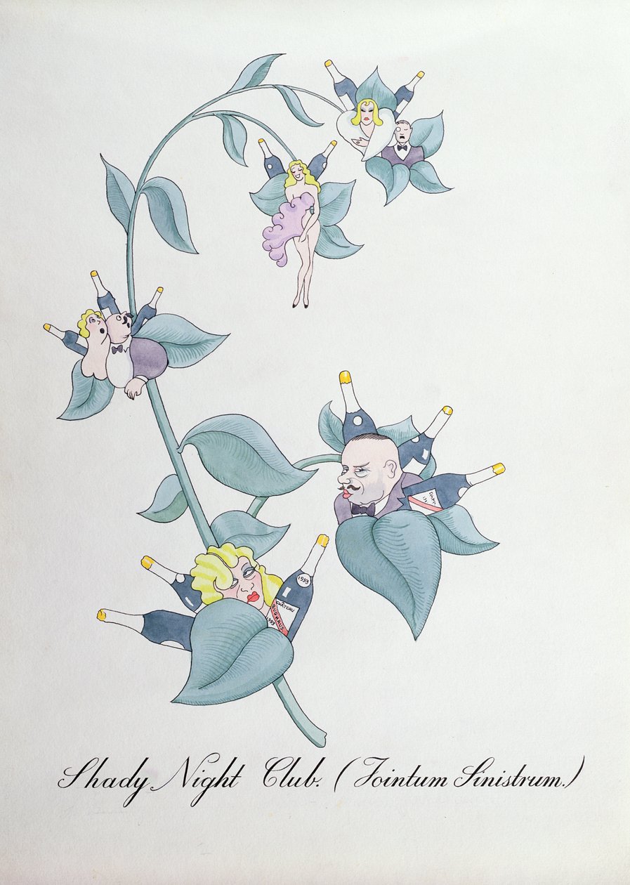Club de nuit ombragé (Jointum Sinistrum.), illustration de 
