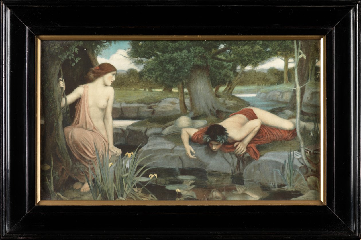 Écho et Narcisse - John William Waterhouse