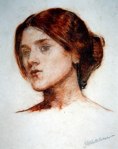 Étude de la Tête d