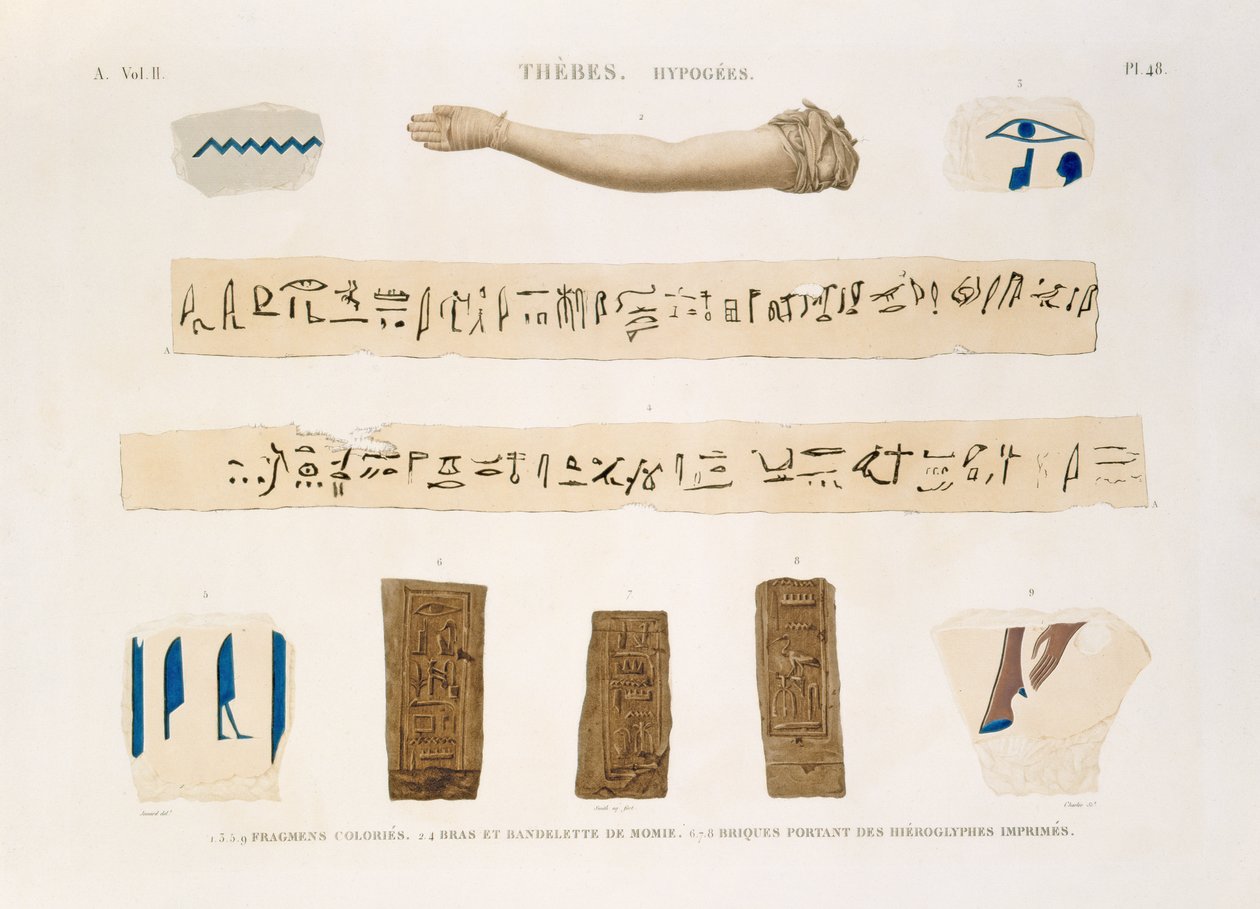 Illustrations de hiéroglyphes et le bras d