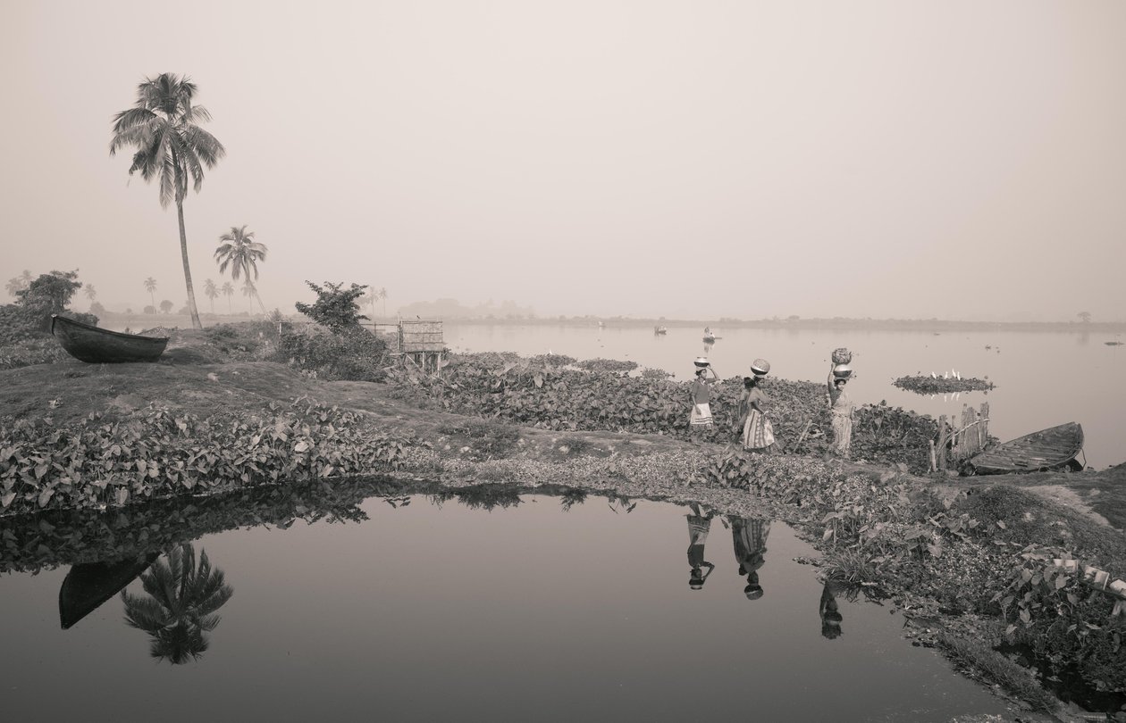 Pêche en zone humide à Kolkata, 2016 (photo) - Jon Nicholson