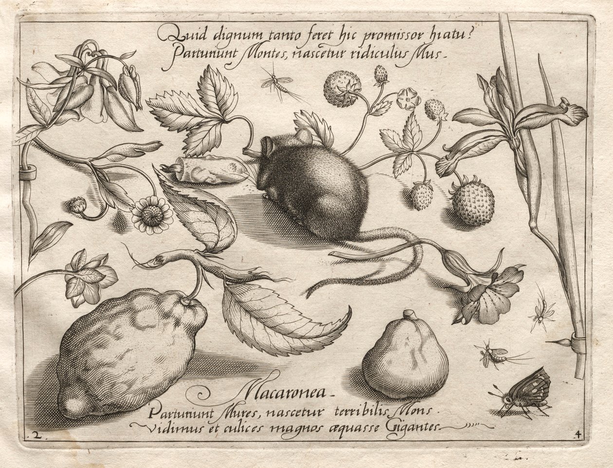 Archétypes et études : Ce qui peut émerger en accord avec une telle promesse caverneuse, 1592 - Joris Hoefnagel