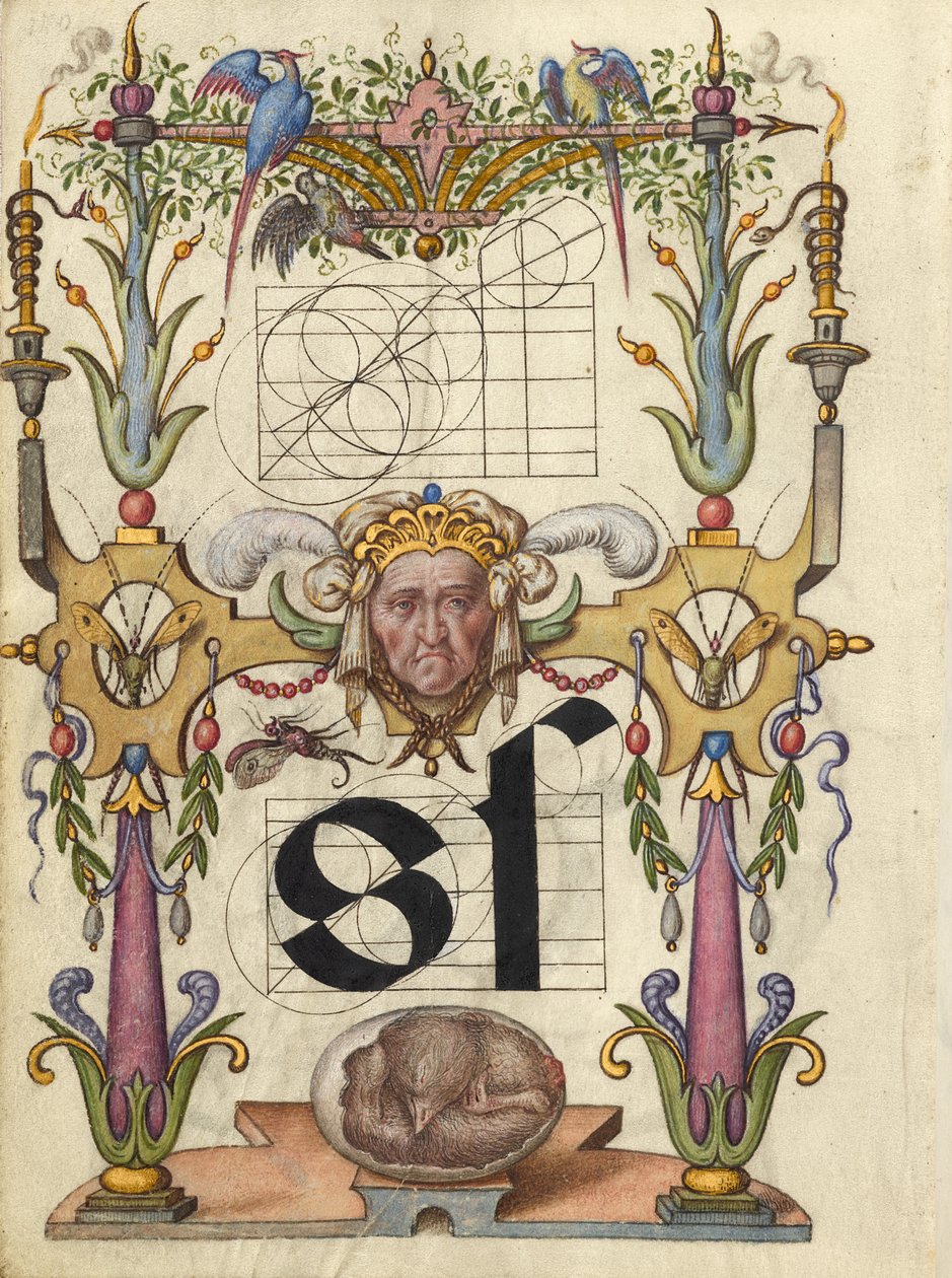 Guide de construction de la lettre s - Joris Hoefnagel