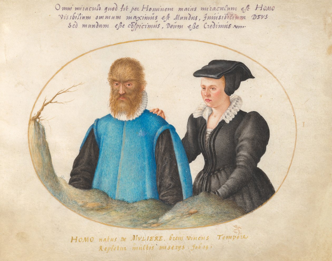 Planche 1 : Pedro González (Petrus Gonsalvus) et son épouse, Catherine - Joris Hoefnagel