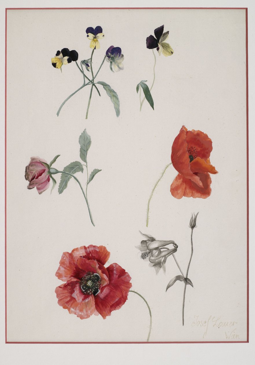Fleurs - Josef Lauer