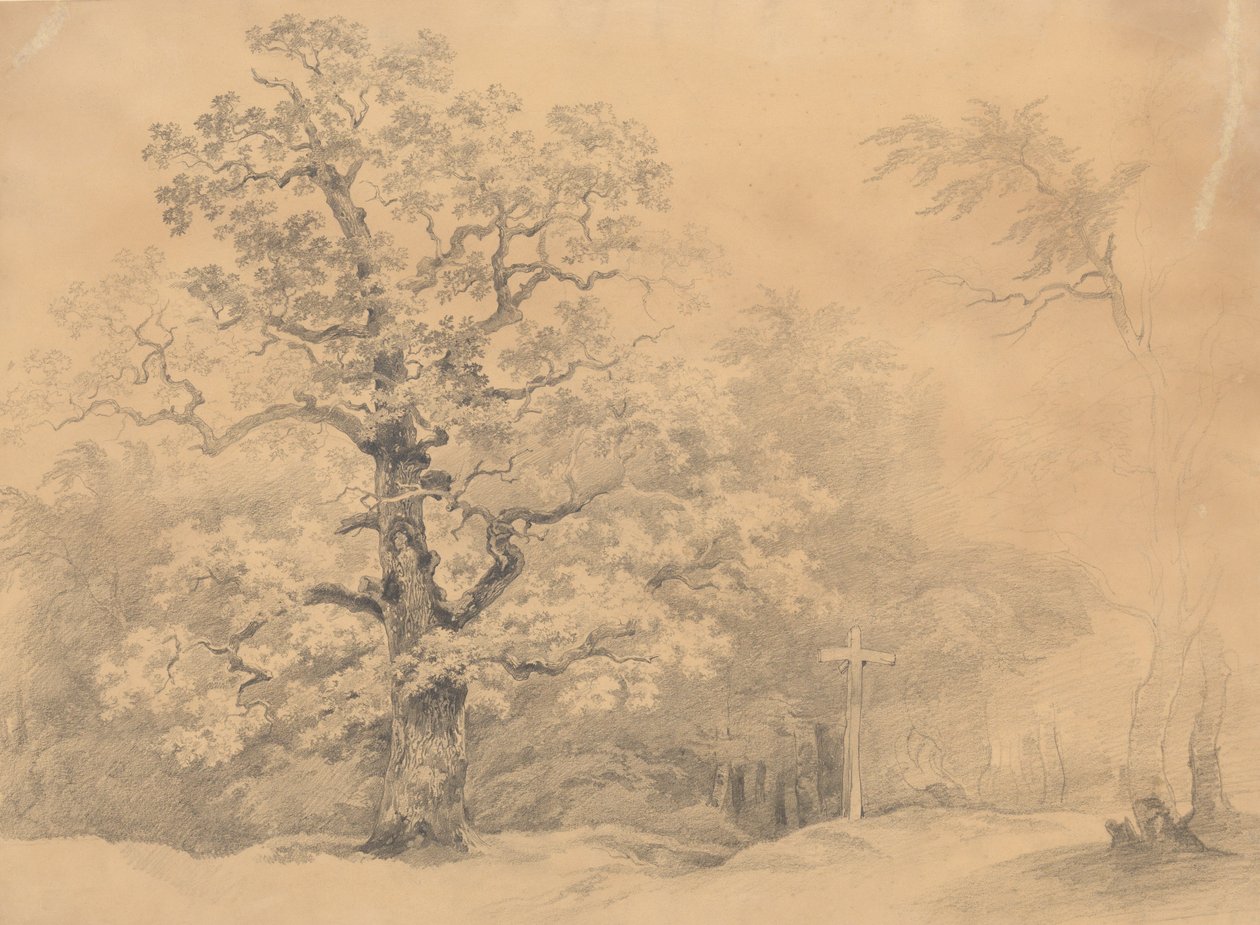 Étude sur les arbres - Josef Kriehuber