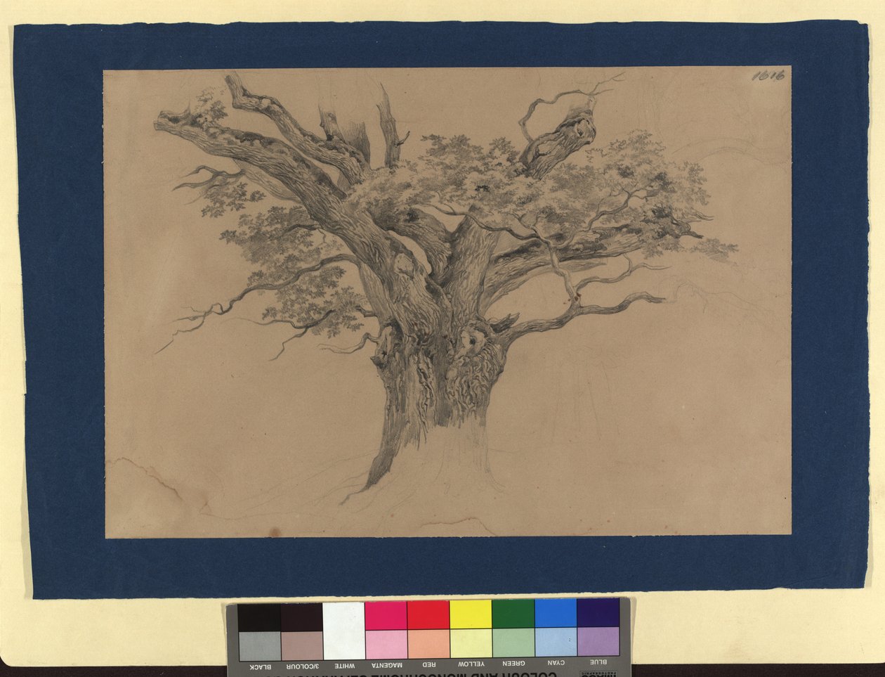 Étude sur les arbres - Josef Kriehuber