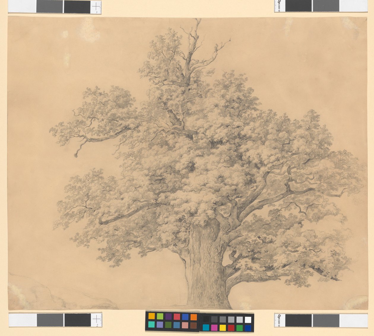Étude sur les arbres - Josef Kriehuber