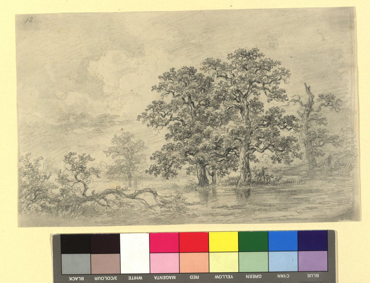 Paysage fluvial avec des arbres - Josef Kriehuber