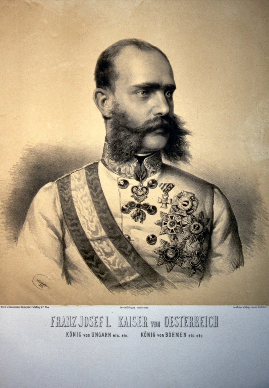 François-Joseph Ier. 1873 Litho - Josef Kriehuber
